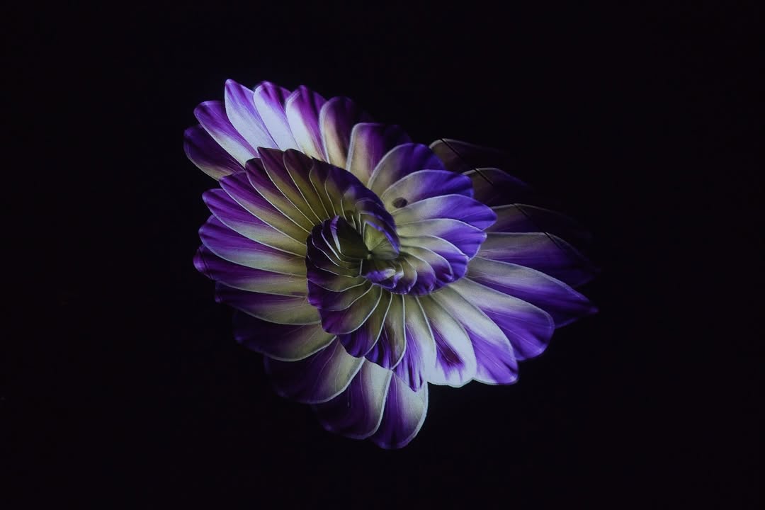 Інсталяція Unfold