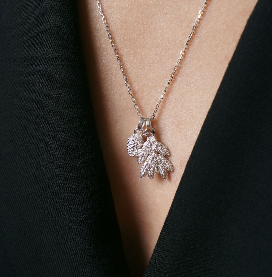 «Карпатська смерека»